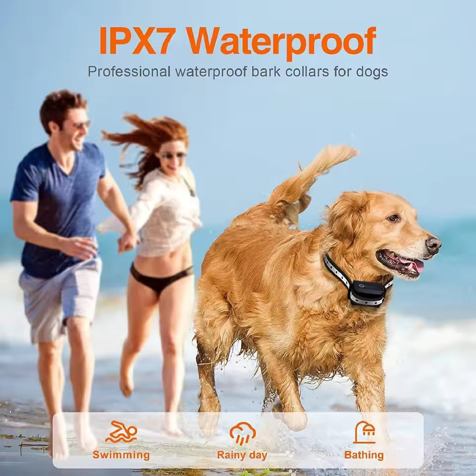Dog Training Collar – Remote Training Collar with Beep & Vibration, Long Range, IP67 Waterproof – ControlCollar